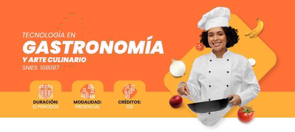 img-gastro